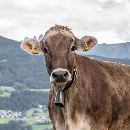 Sigmundhof Farm stay Bressanone