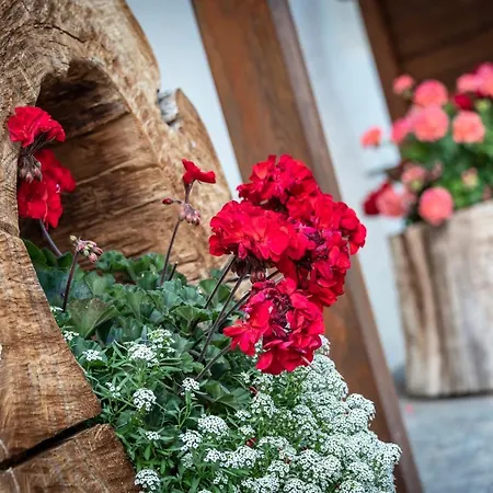 Sigmundhof Farm stay