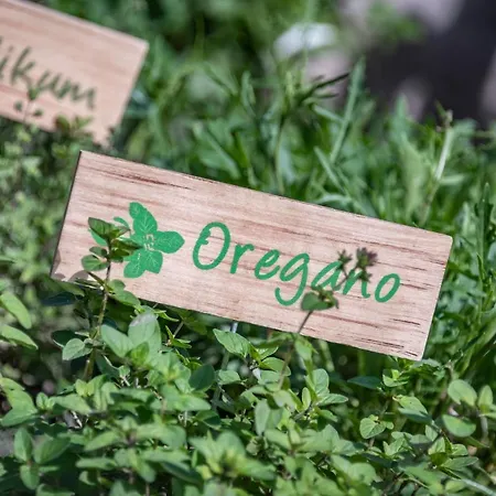 Sigmundhof Farm stay Bressanone