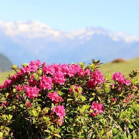 Alpenrose Aparthotel