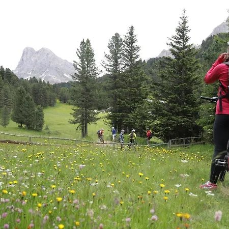 Alpenrose Bressanone