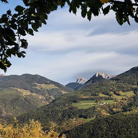 Alpenrose *