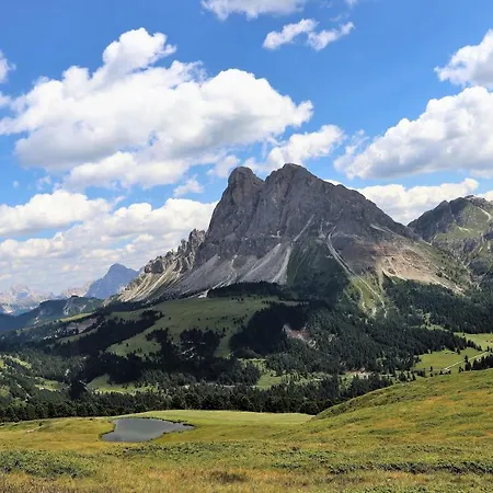 Alpenrose *