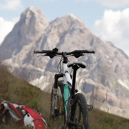 Alpenrose *