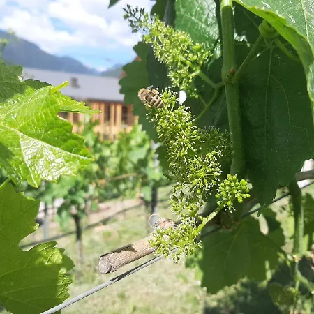 Oelackererhof Apartamento Bressanone