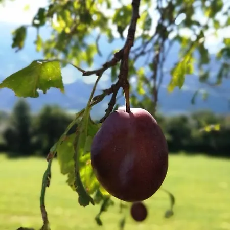 Saderhof *
