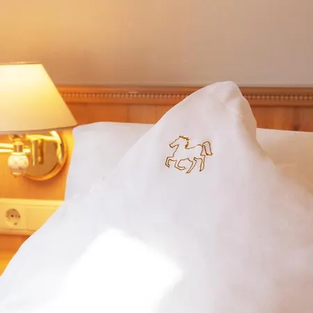Hotel Goldenes Roessl