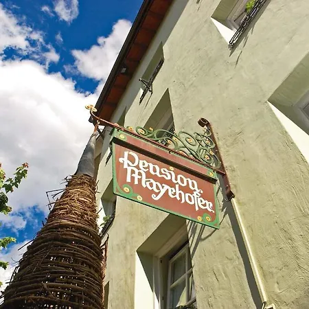 Hotel Mayrhofer 3*