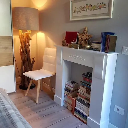 Apartment Downtown Hideout Pedestrian Zone Private Garden, Parking Card