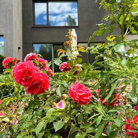 Garden Untermuehle Apartment