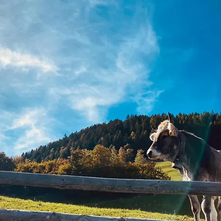 Stocknerhof Farm stay