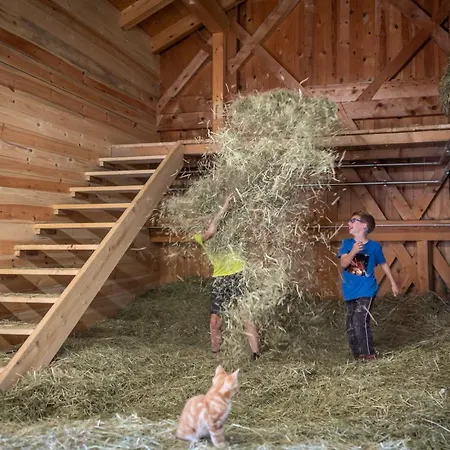 Platzbon Farm stay Bressanone