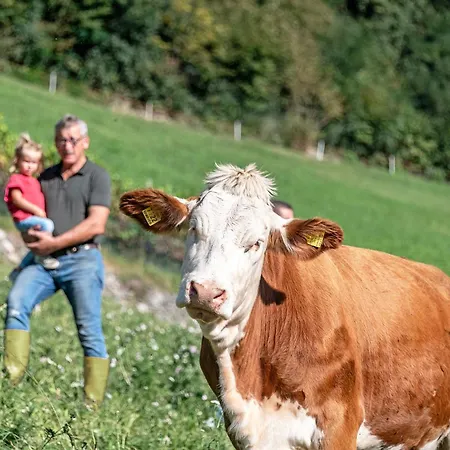 Farm stay Niederthalerhof
