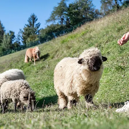 Niederthalerhof Farm stay