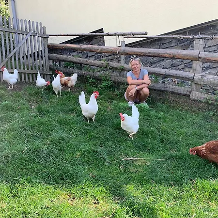 Haus Lasaun 3* Bressanone