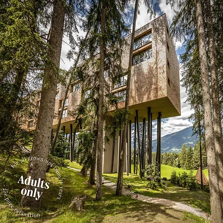 My Arbor - Dolomites