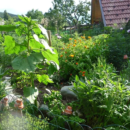Apartment Froetscherhof, Urlaub Auf Dem Bio-bauernhof In Brixen, Appartments *