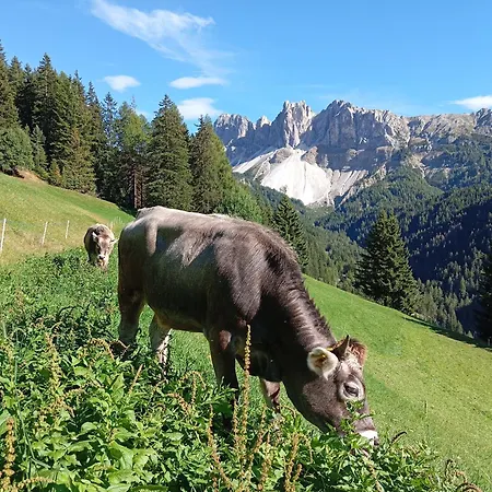 Zimmererhof *