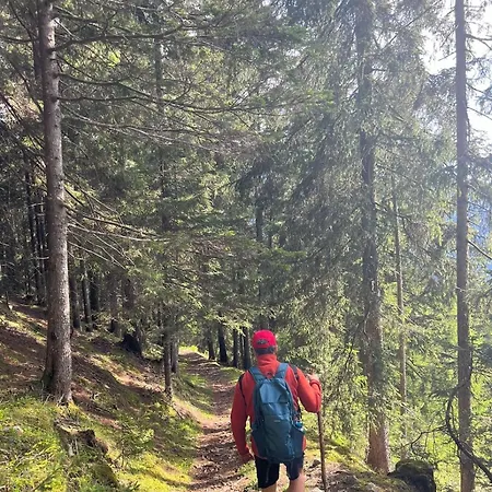 Vista Dolomiti