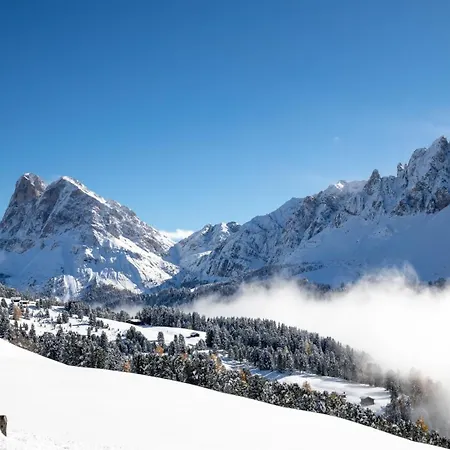 Alpenrose