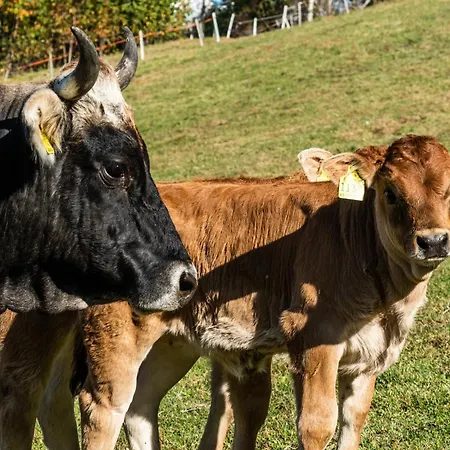 Widmannhof - Urlaub Auf Dem Biobauernhof Farm stay *