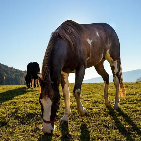 Farm stay Widmannhof - Urlaub Auf Dem Biobauernhof