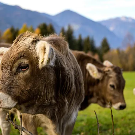 Froetscherhof, Urlaub Auf Dem Bio-bauernhof In Brixen, Appartments * Bressanone