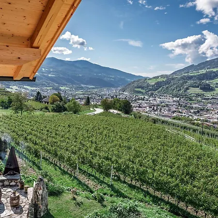 Chalet Steindlgut - Weinberg *