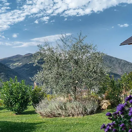 Steindlgut - Weinberg Lodge Bressanone