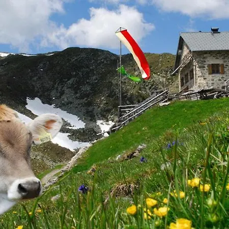 Farm stay Stocknerhof *