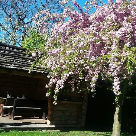 Kienasthof