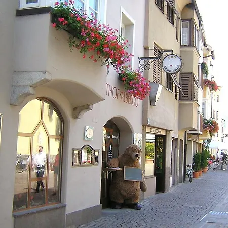 Grauer Baer 3* Bressanone