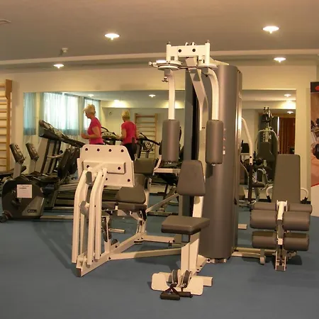 Gruener Baum Hotel 4*