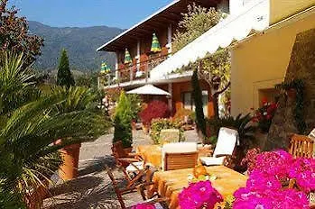Hotel Traube 3*