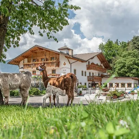 Torgglerhof