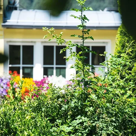 Gartenhof Appartement