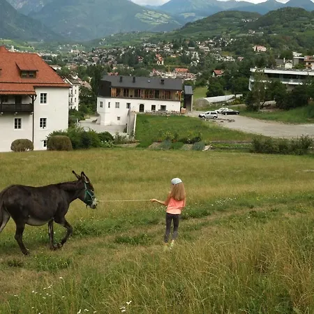 Farm stay Vintlerhof Bressanone