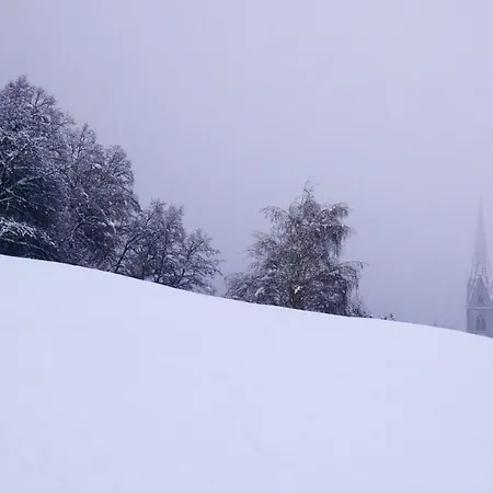 Vintlerhof