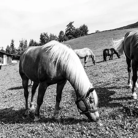 Widmannhof - Urlaub Auf Dem Biobauernhof Farm stay *