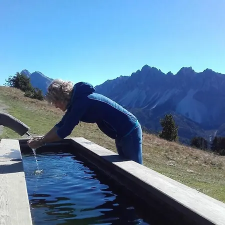 Widmannhof - Urlaub Auf Dem Biobauernhof *