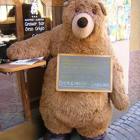 Grauer Baer Hotel