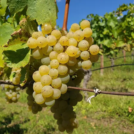 Pacherhof Bressanone
