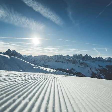 Hotel Forestis Dolomites 5*